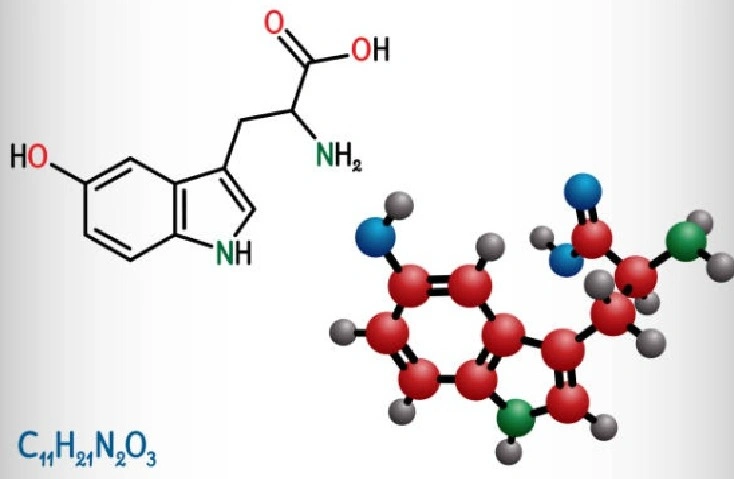 5-HTP molecular structure